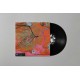 BLOTO-GRZYBNIA (LP)