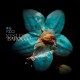 NESLES-BAROCCO (CD)