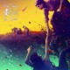 BRINDZINC-AUX CHAMPS DES SIRENES (CD)