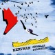 ARMELLE DUMOULIN-KERVRAN (LP)