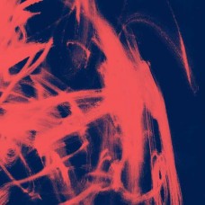 RIVAL CONSOLES-LANDSCAPE FROM MEMORY (CD)