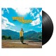 FATBABS-THIS LOVE IS FOREVER (LP)