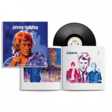 JOHNNY HALLYDAY-VINYL STORY (LP)