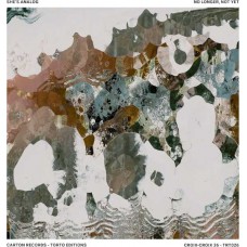 SHES ANALOG-NO LONGER NOT YET (LP)