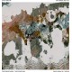 SHES ANALOG-NO LONGER NOT YET (LP)