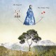 AM HIGGINS-THE DREAM TRAP (CD)