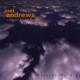 JOEL ANDREWS-WALKING ON AIR (CD)