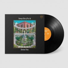 CARWYN ELLIS & RIO 18-FONTANA ROSA (LP)
