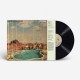 YOUNG GUN SILVER FOX-PLEASURE (LP)