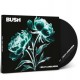 BUSH-I BEAT LONELINESS (CD)
