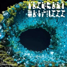 V/A-PRIMARY FOREST 03 (LP)