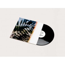 JULIEN MIER-GRADUALLY (LP)