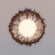 ZIUR-HOME (LP)