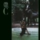 NORMAN CONNORS-MR. C (LP)