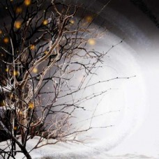 WINTERLIGHT-WINTERLIGHT (2LP)
