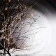 WINTERLIGHT-WINTERLIGHT (2LP)
