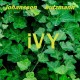 FRIEDER BUTZMANN & JAN AKE JOHANSSON-IVY (LP)