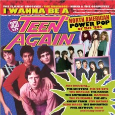 V/A-I WANNA BE A TEEN AGAIN AMERICAN POWER POP 1980-1989 -BOX- (3CD)