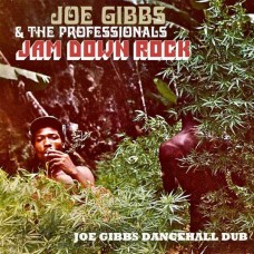 JOE GIBBS & THE PROFESSIONALS-JAM DOWN ROCK - JOE GIBBS DANCEHALL DUB (CD)