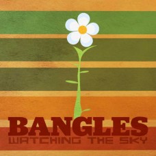 BANGLES-WATCHING THE SKY - THE BANGLES BOX SET -BOX- (4CD)