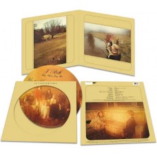 POOH-UN PO' DEL NOSTRO TEMPO MIGLIORE -PD/ANNIV- (LP)