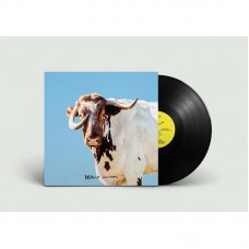 SEXY ZEBRAS-BRAVO (LP)