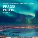 V/A-PRAISE POEMS, VOL. 11 - A JOURNEY INTO RAW, ENERGETIC POWER POP FROM THE 1980'S (2LP)