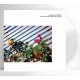 HOLDEN & ZIMPEL-THE UNIVERSE WILL TAKE CARE OF YOU -COLOURED/HQ- (LP)