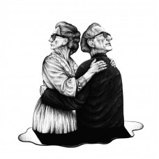 NOT SCIENTISTS-VOICES (CD)