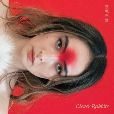 ANN LIU CANNON-CLEVER RABBITS (CD)