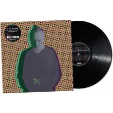 FINK-BEAUTY IN YOUR WAKE ACOUSTIC (LP)
