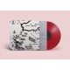 INDEX FOR WORKING MUSIK-WHICH DIRECTION GOES THE BEAM -COLOURED- (LP)