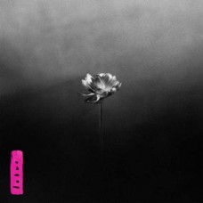 LITTLE SIMZ-LOTUS (CD)