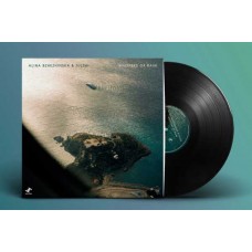 ALINA BZHEZHINSKA-WHISPERS OF RAIN (LP)