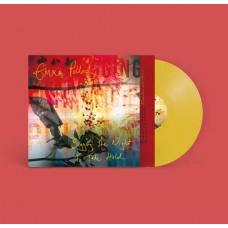 EMMA POLLOCK-BEGGING THE NIGHT TO TAKE HOLD -COLOURED- (LP)