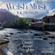 ROYAL PHILHARMONIC ORCHESTRA & OWAIN ARWEL HUGHES-WELSH MUSIC FOR STRINGS (CD)