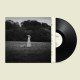 YOSHIKA COLWELL-ON THE WING (LP)