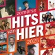 V/A-ZOMERSE HITS VNA HIER 2025 (CD)