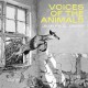 JEAN-PAUL DESSY-JEAN-PAUL DESSY: VOICES OF THE ANIMALS (CD)