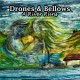 DRONES & BELLOWS-A RIVER RUNS (CD)