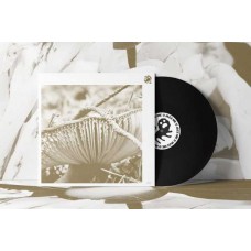 LATE NIGHT POEMS-RISE & BLOOM (LP)