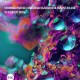 VERONIKA HARCSA / ANASTASIA RAZVALYAEVA / BALINT BOLCSO-SCHUBERT NOW! (CD)