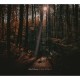WARD DHOORE-IT WAS ALL HEART (CD)