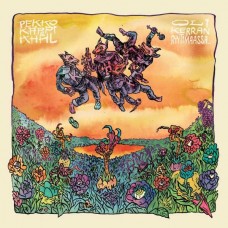 PEKKO KAPPI & K:H:H:L-OLA KERRAN RYYTIMAASSA... (CD)
