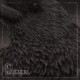 SIGNERI-SIGNERI (CD)