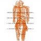 GREGG BELISLE-CHI-SLOW CRAWL: PERFORMING THE MUSIC OF TIM BERNE (CD)