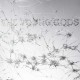 YOUNG GODS-APPEAR DISAPPEAR (CD)