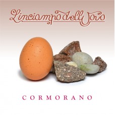 CORMORANO-L INCIAMPO DELL UOVO (CD)
