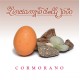 CORMORANO-L INCIAMPO DELL UOVO (CD)