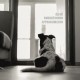 ALESSANDRO DUCOLI-ROMANTICISMO APPROSSIMATIVO (CD)